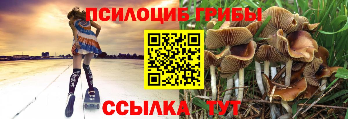 Псилоцибиновые грибы Люберцы